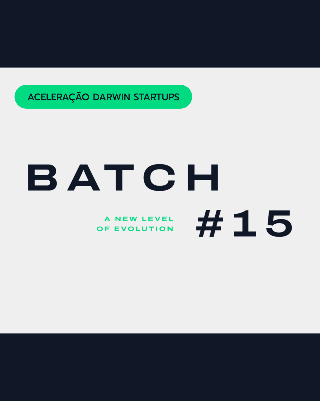 Batch #15 - A new level of evolution: Darwin Startups retoma seu programa de aceleração com investimento