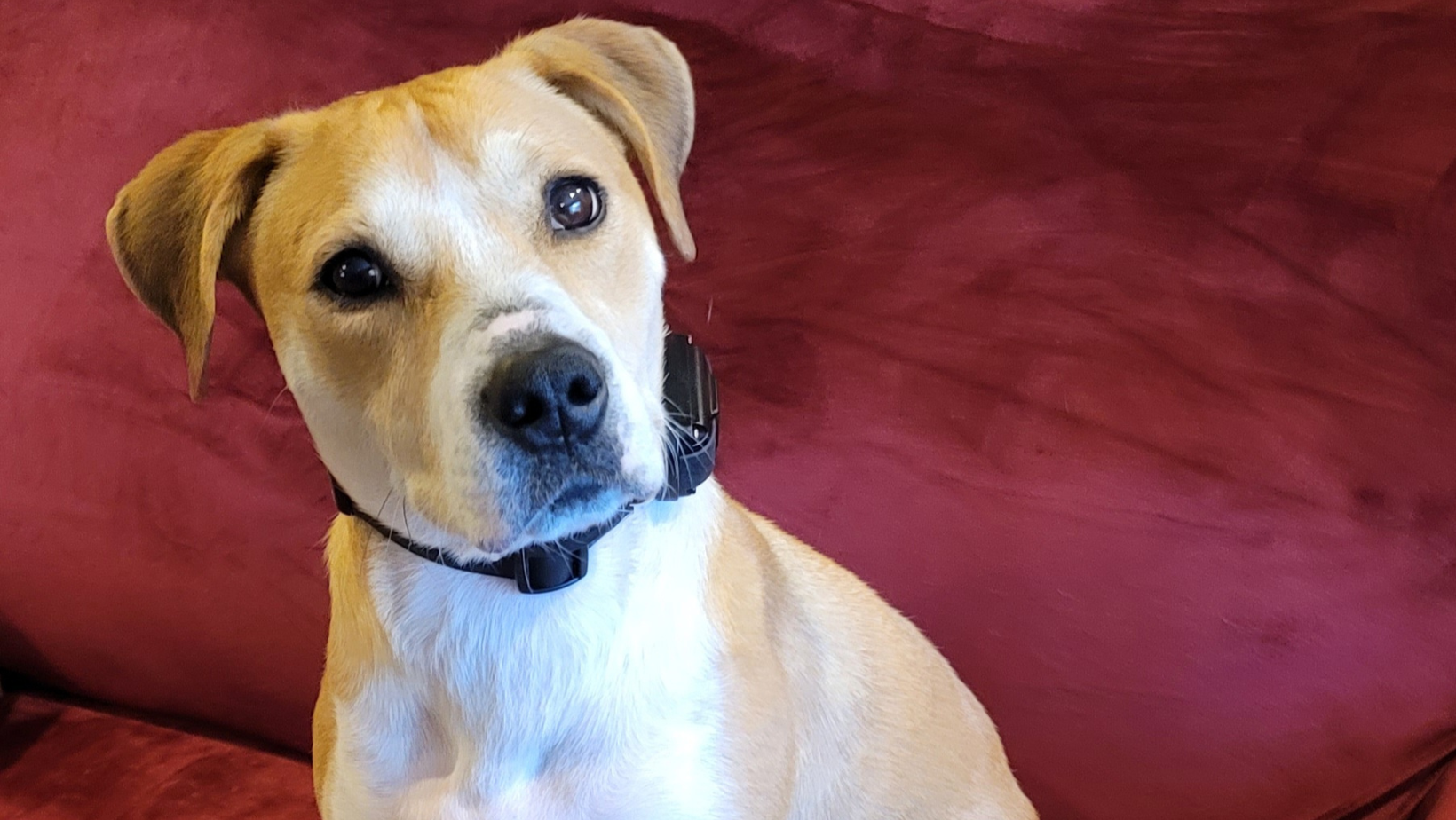 The Right Tools Make All The Difference