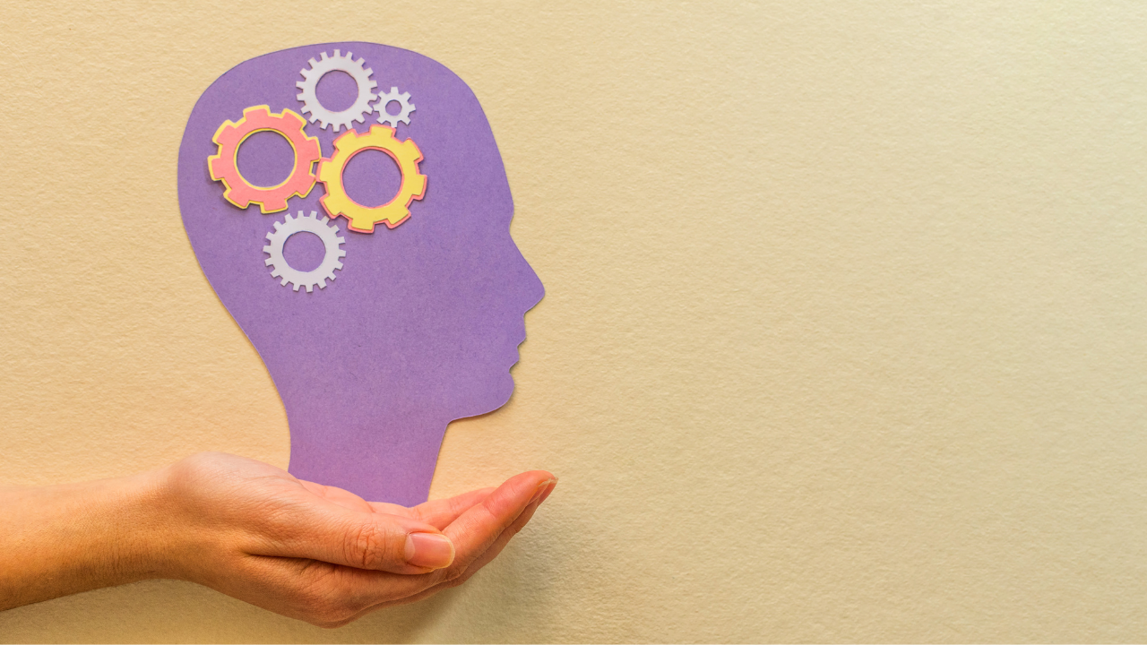 Five Mental Models of Successful Business Owners