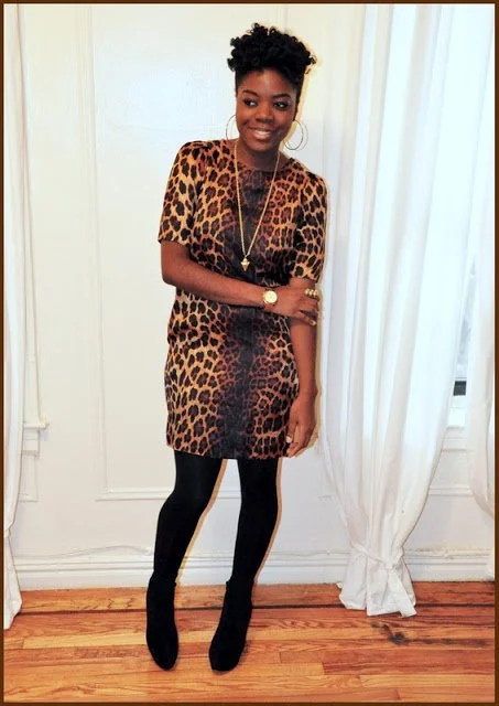 Leopard again