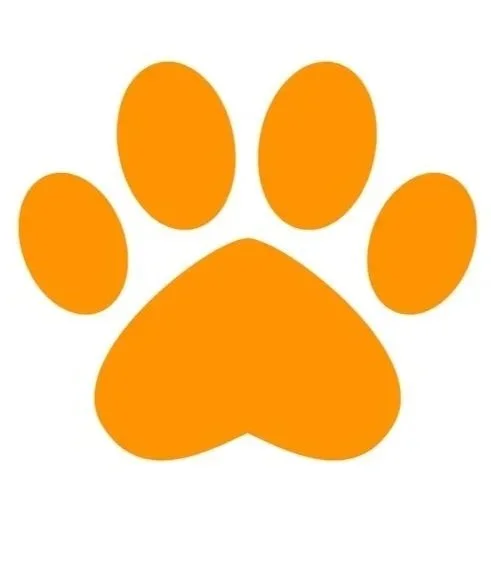 All Dogs