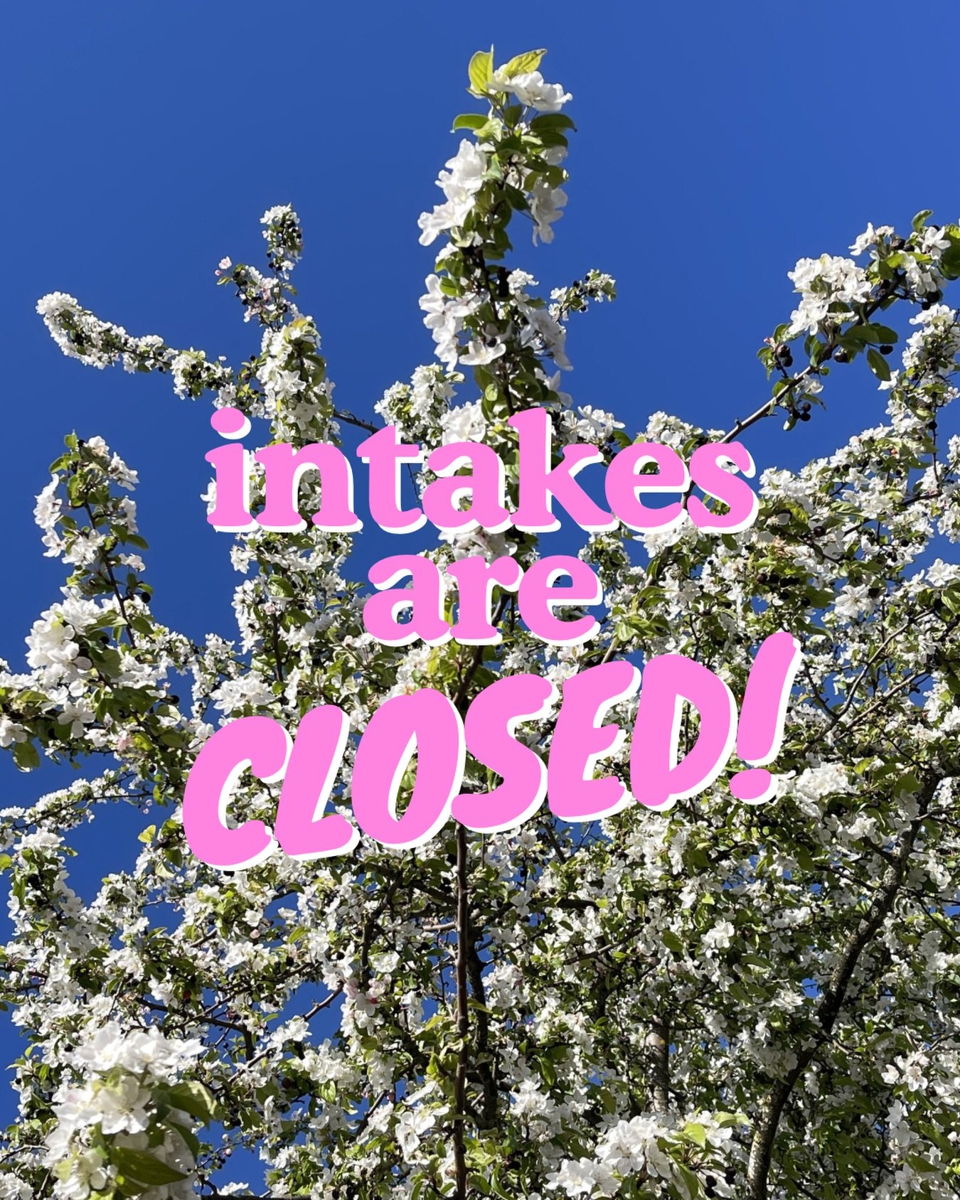 Pocket will be taking a little pause on item intakes this week, but don&rsquo;t worry - it&rsquo;s just until Tuesday May 5th! This does mean that no drop-offs or walk-ins will be accepted until then though, so please plan accordingly! 🫶🏻
