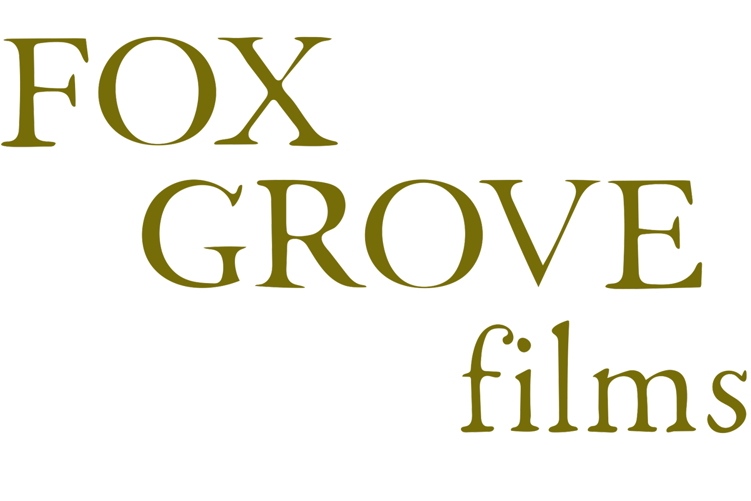 Fox Grove Films orlando-based destination wedding filmmaker and photgrapher
