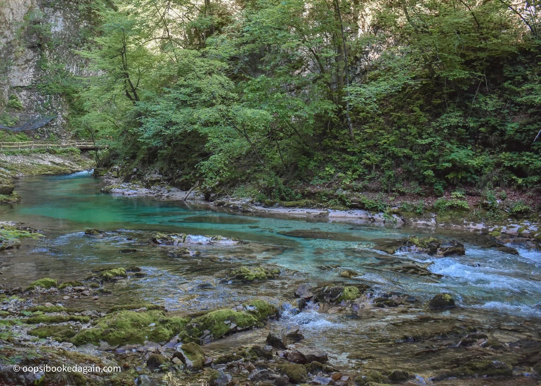 Flowing turquoise colours of the Radovna River