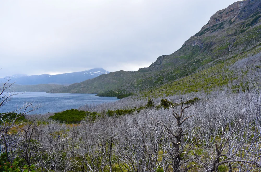 W CIRCUIT PATAGONIA : IS IT WORTH $1000? — Oops I Booked Again - Solo ...