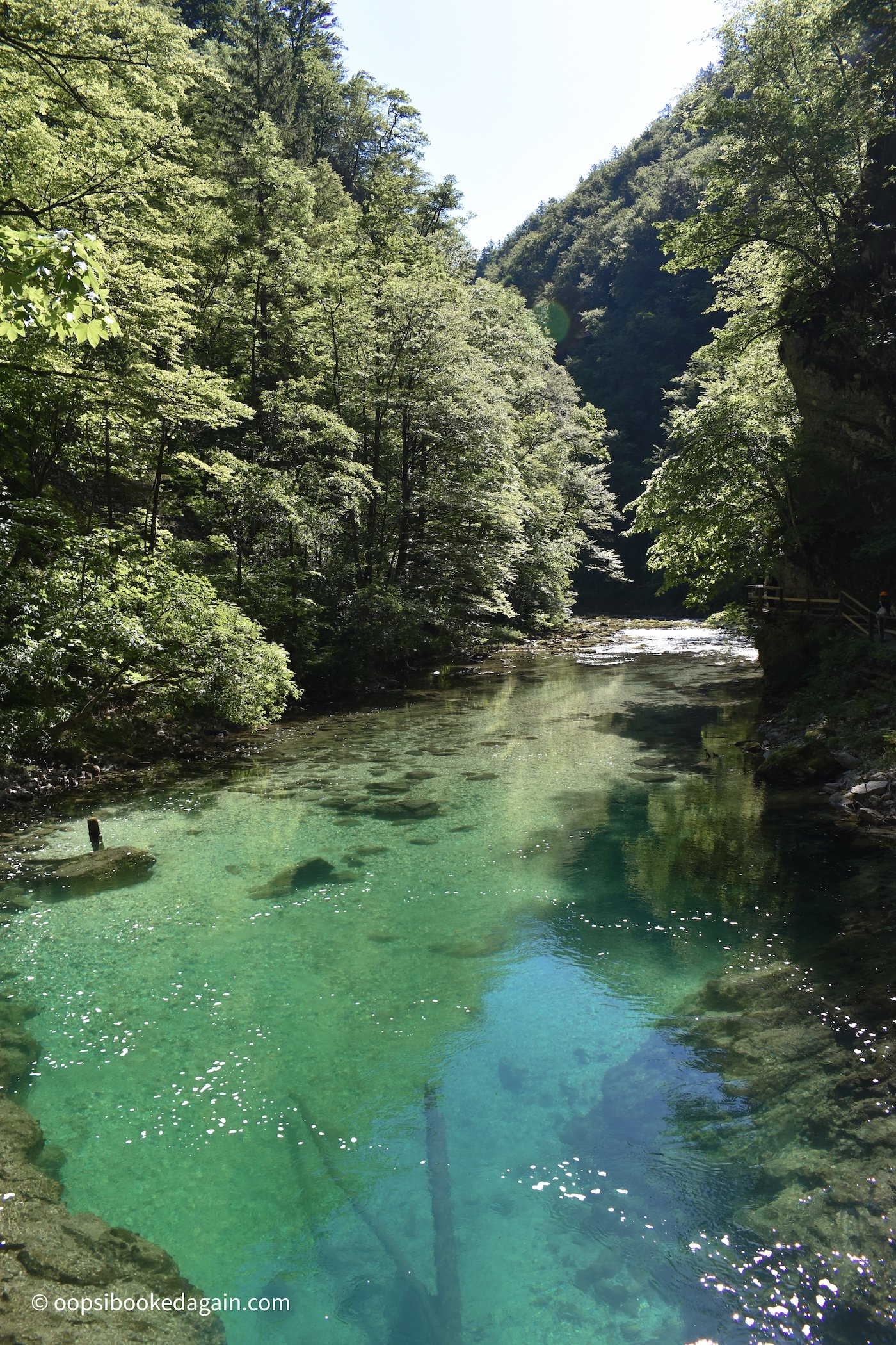 Turquoise waters of  Radovna River