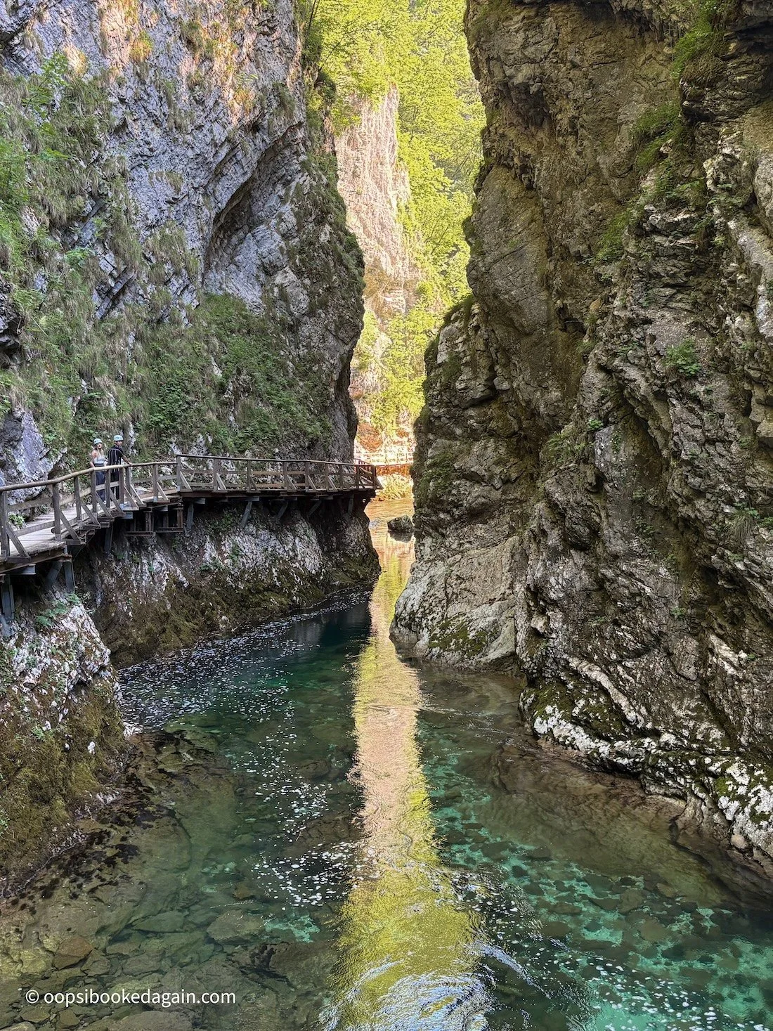 Morning light shimmering into Vintgar Gorge, Slovenia