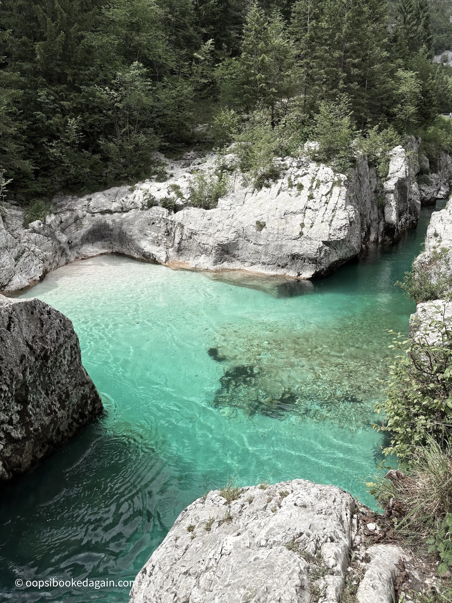 cold turquoise waters from the soča river