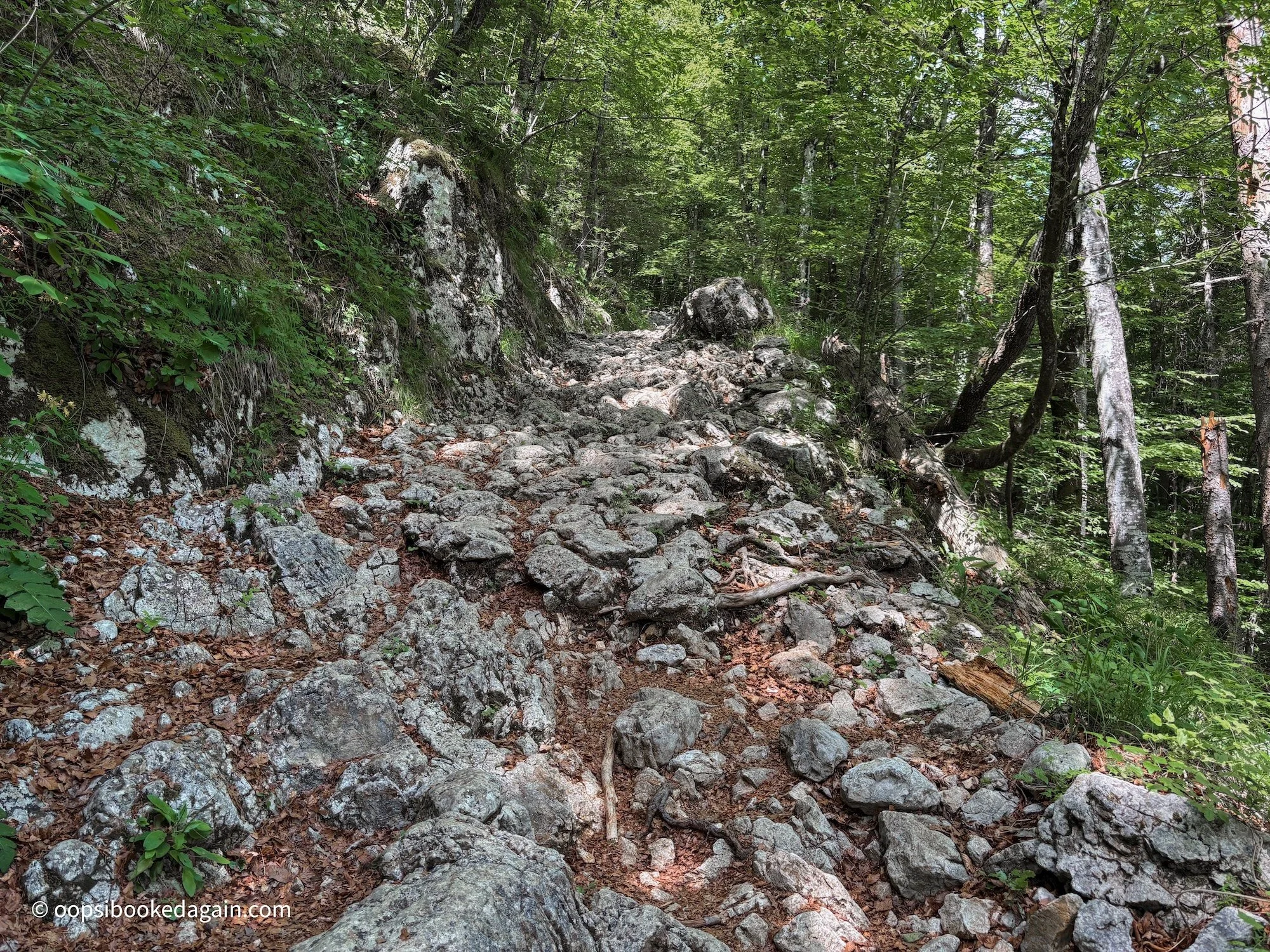 Vogar Viewpoint hiking trail in Lake Bohinj