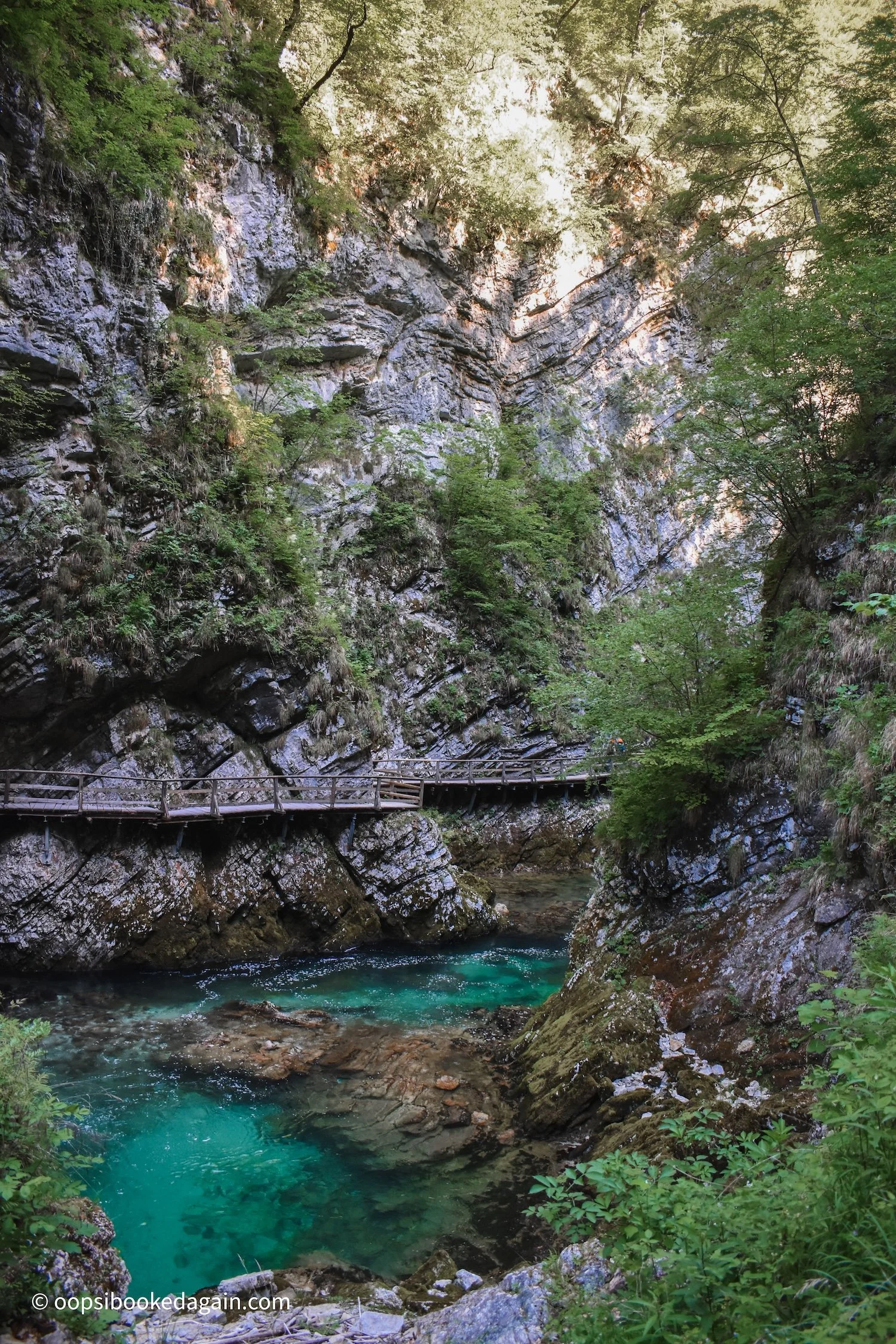 Wooden walkway over  Radovna River in Vintgar Gorge Slovenia