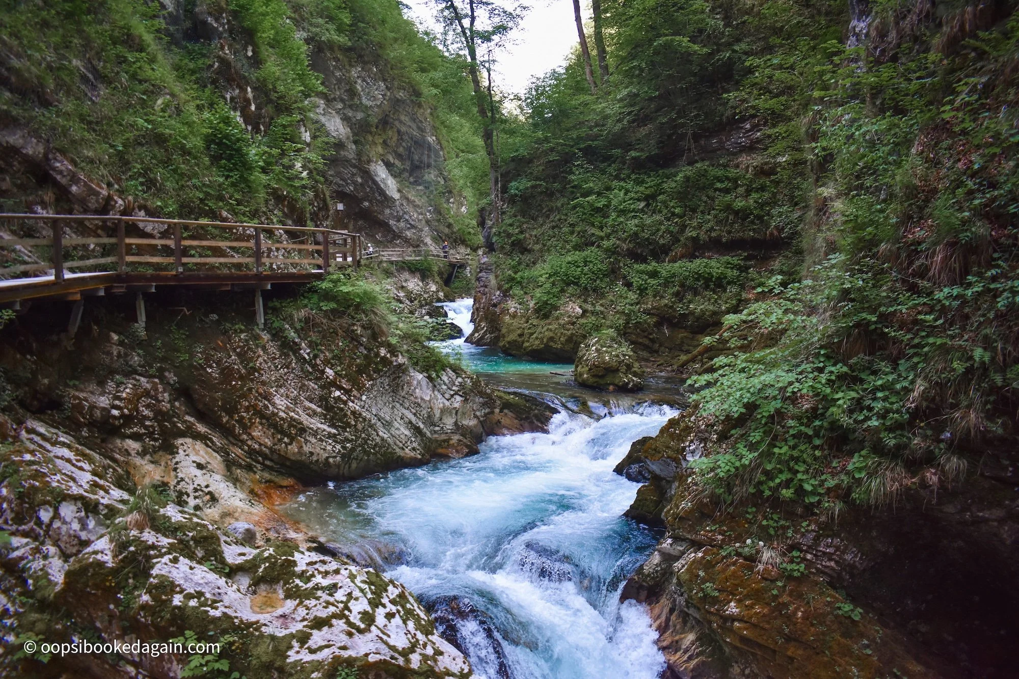 Rushing Radovna River in Vintgar Gorge Slovenia