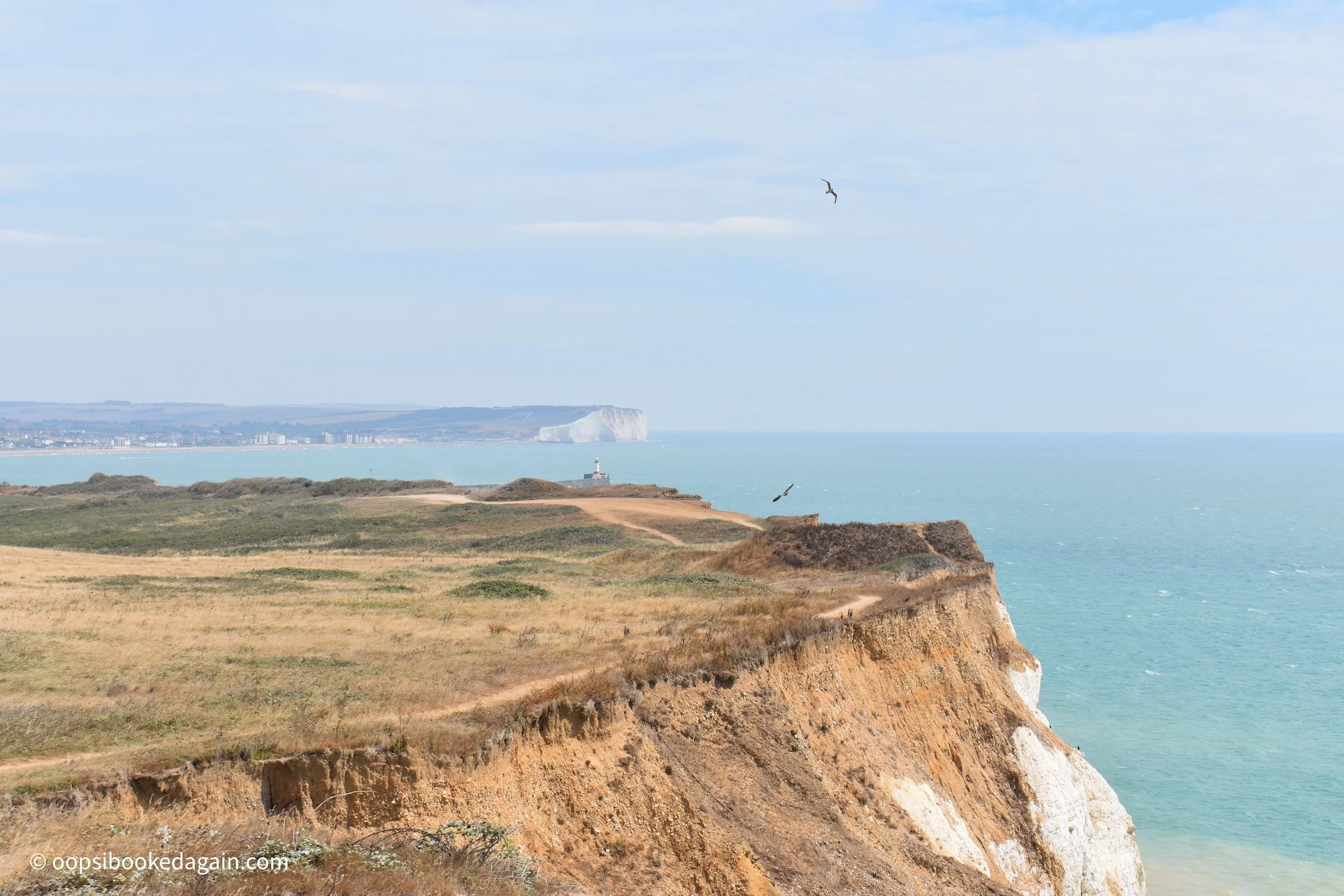 Clifftop views with lighthouse in background near Newhaven