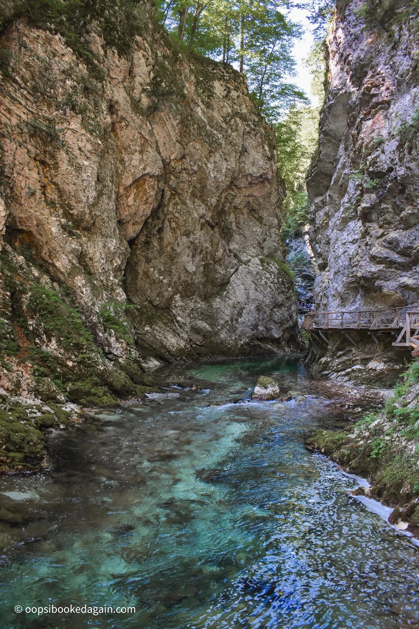 Radovna River in Vintgar Gorge Slovenia