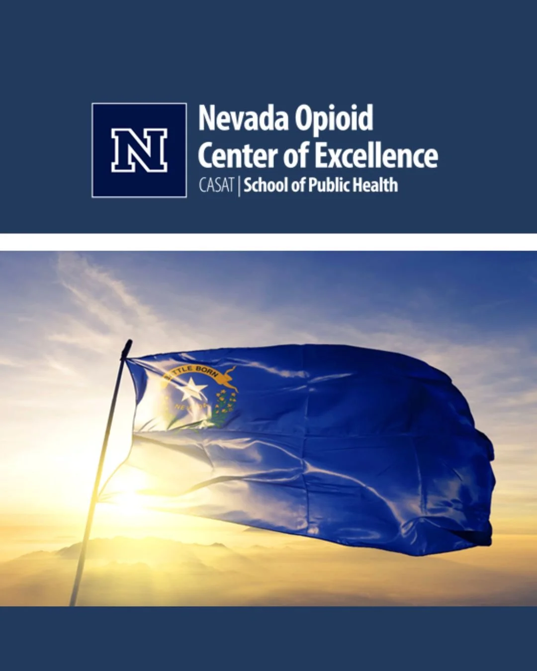 The Introduction to the Prevention Core Competencies for Prevention Professionals