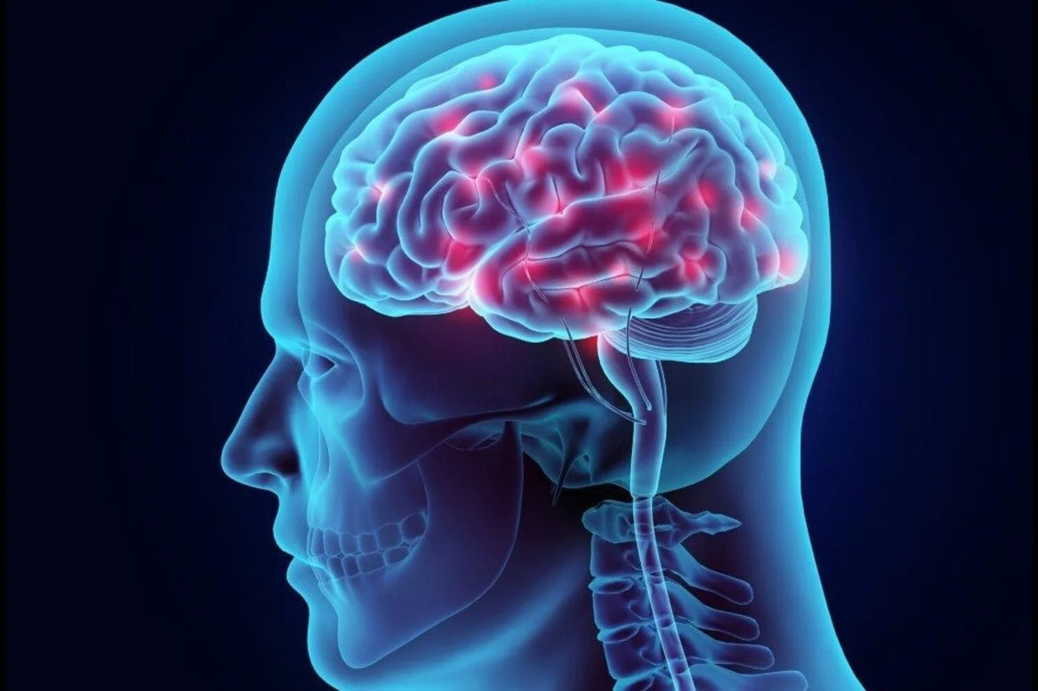 Blood Flow and Brain Health: How Chiropractic Care Improves Cerebral Circulation