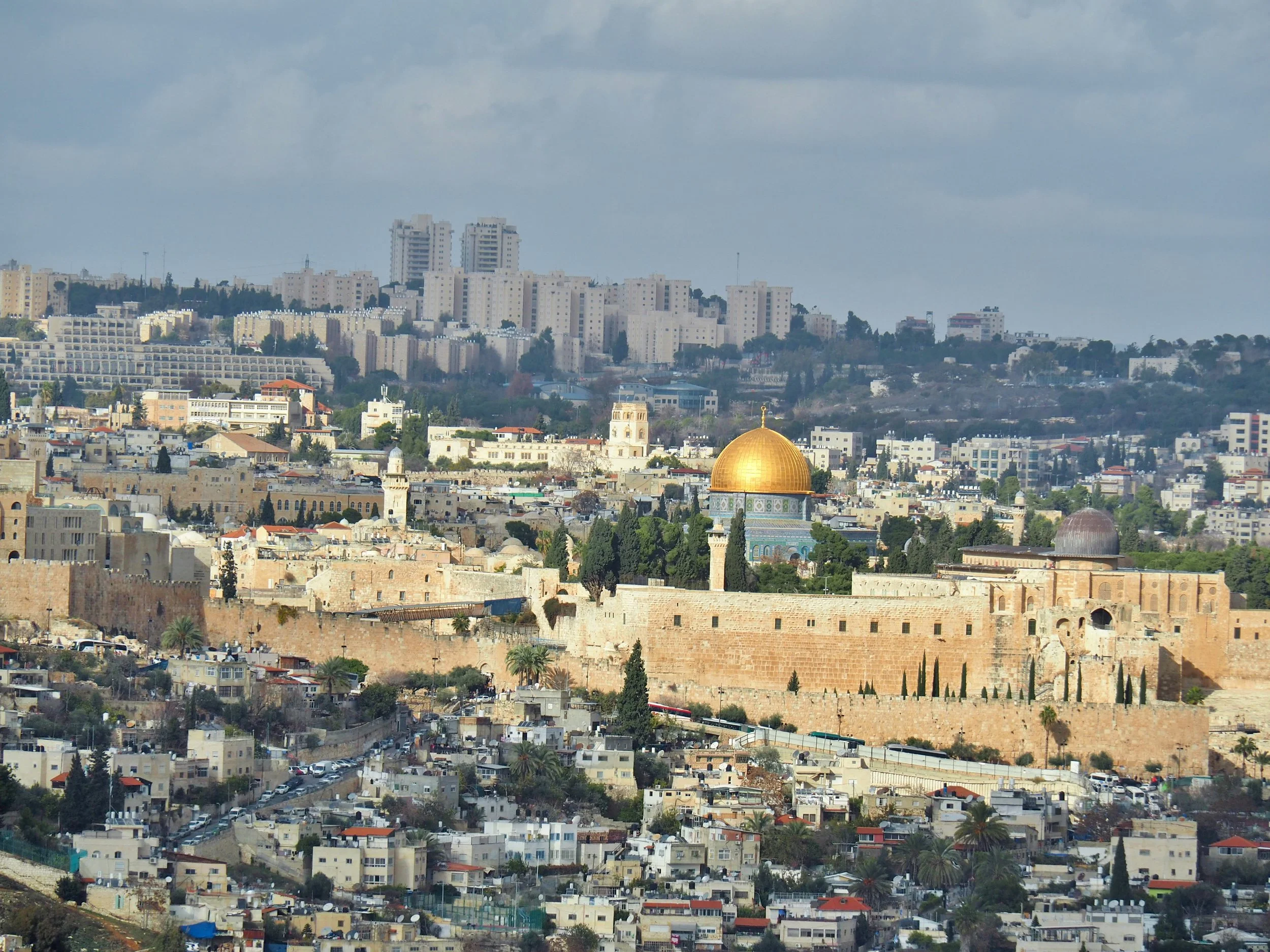 About — Suspend Judgement