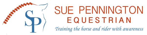 Sue Pennington Equestrian 