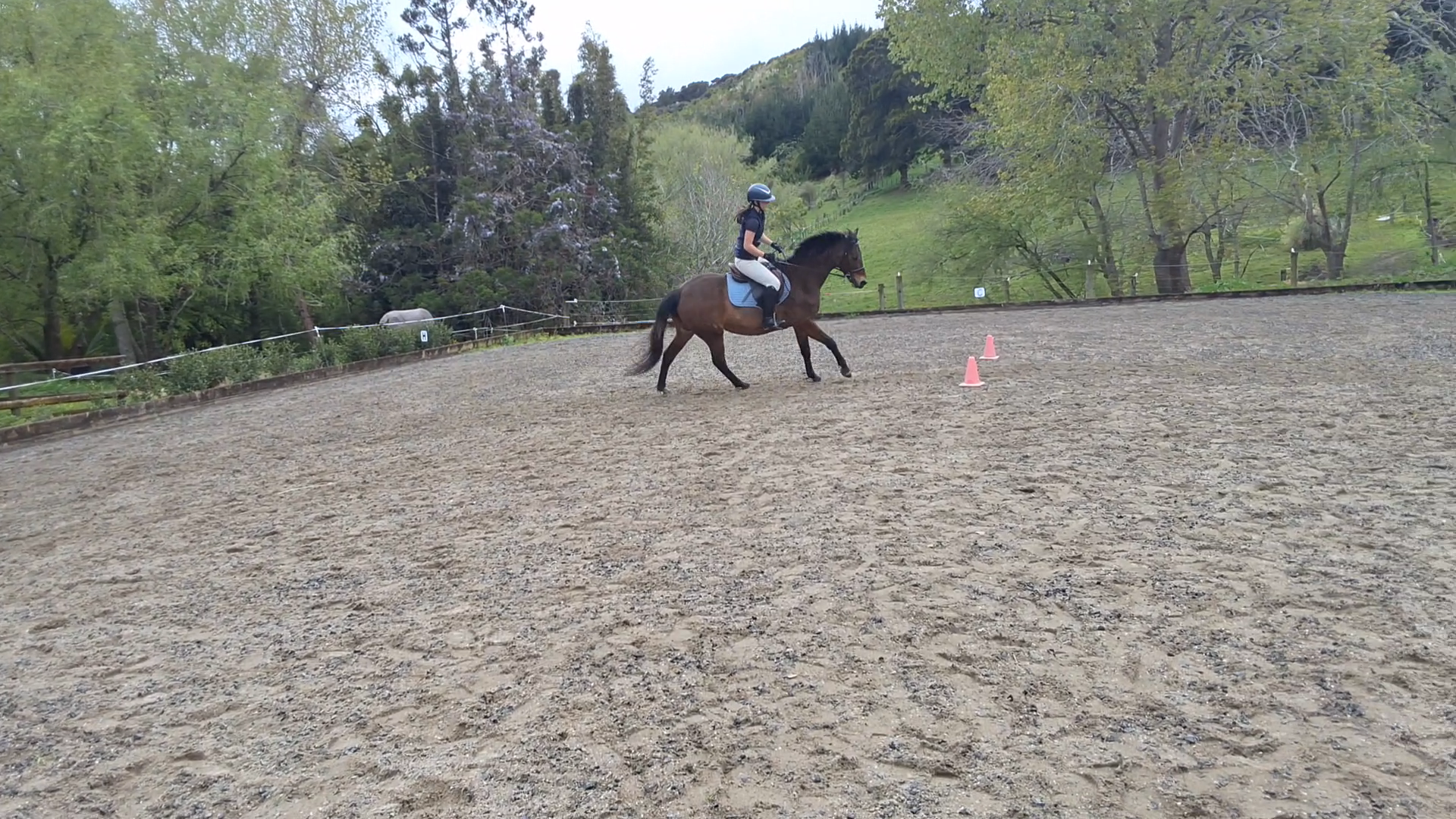 Macy RR Canter 4.png