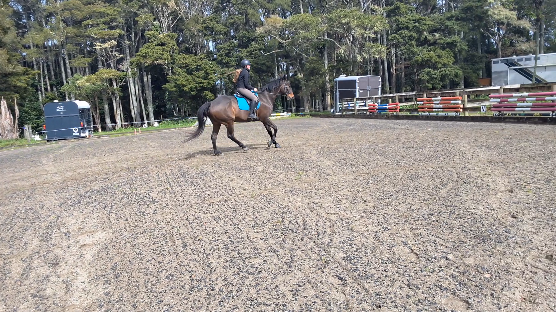 Hannah RR Canter 6.png