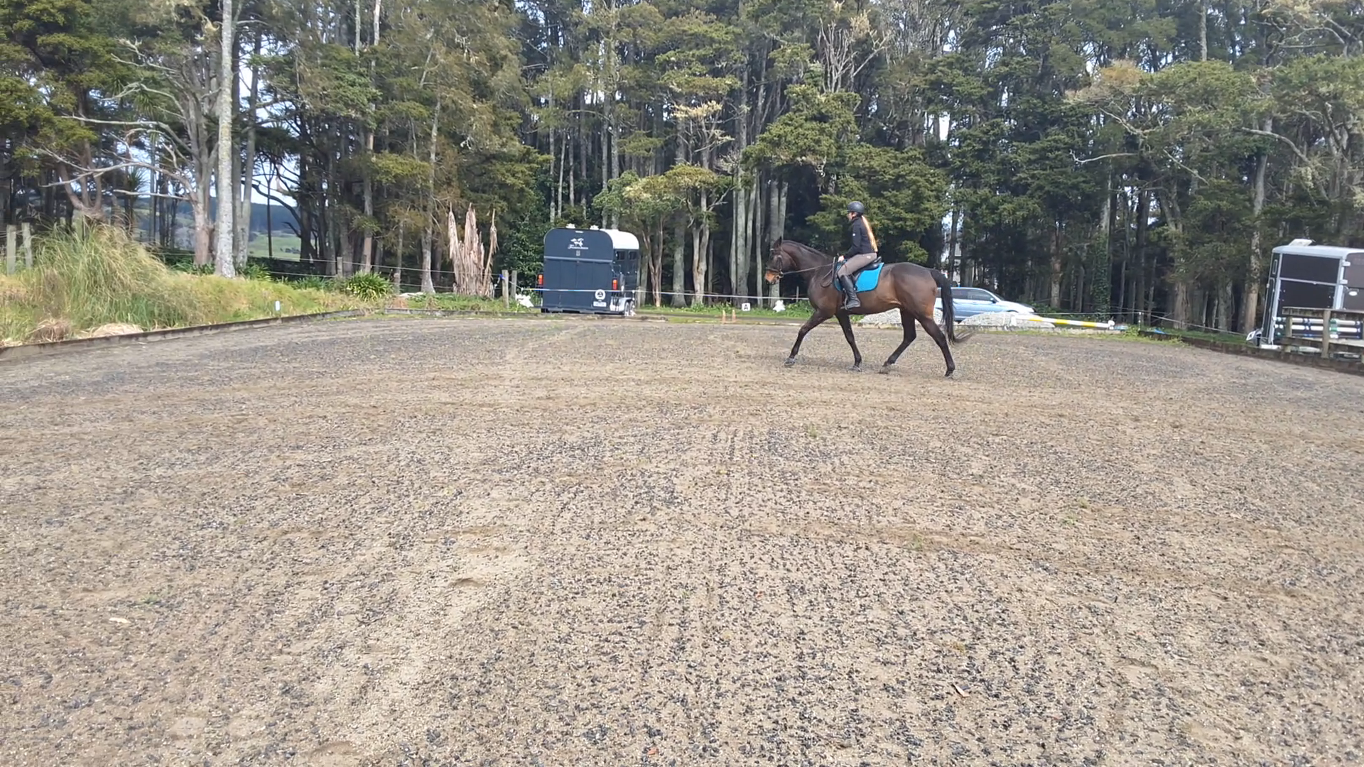 Hannah lr trot (1).png
