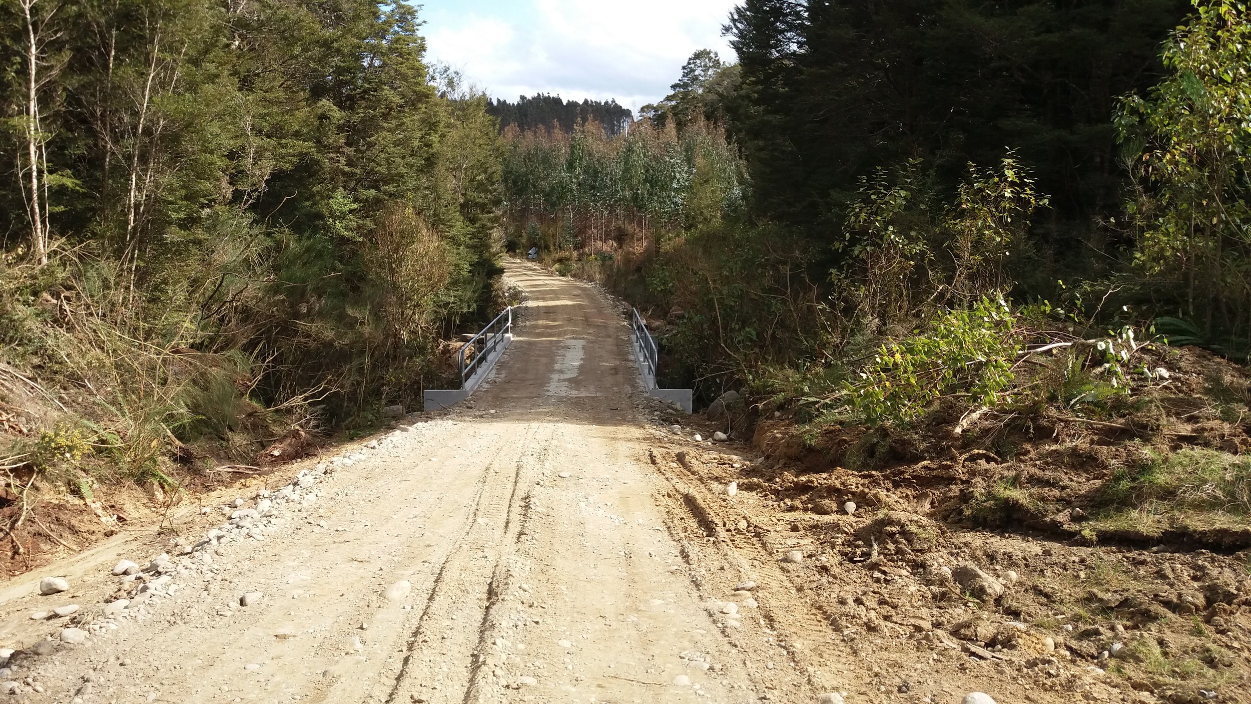 PF Olsen - Tuatapere forestry bridge.jpg