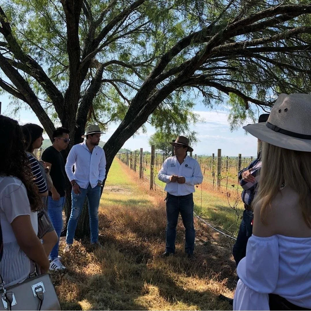 WhatsApp Image 2022-10-17 at 10.02.51 PM (2).jpeg