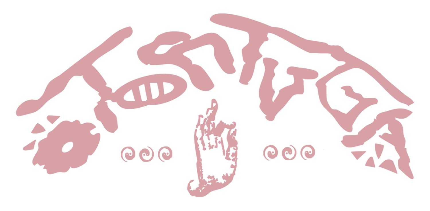 otortuga.com