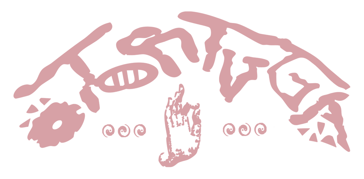 otortuga.com
