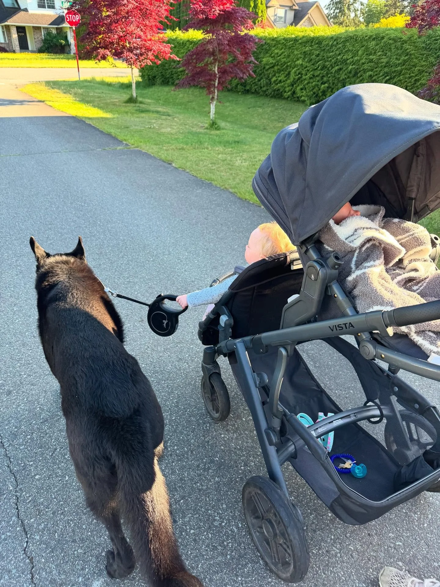 Life has been busy! Baby #2 arrived and we have moved! I am currently taking a short maternity leave but will be back in full swing come September!