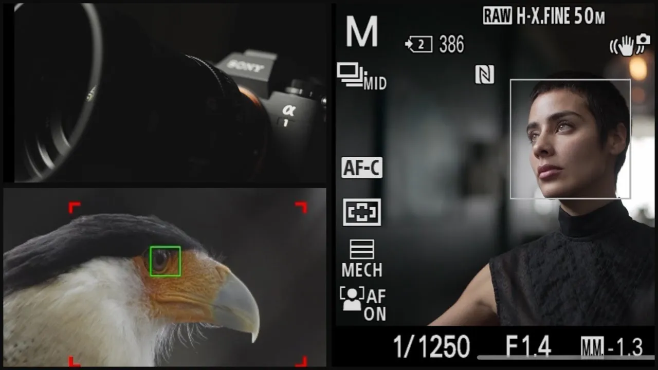 Sony α1 materiales 8K y RAW 