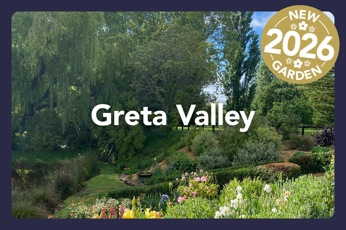 HGF2026 Clusters5.png