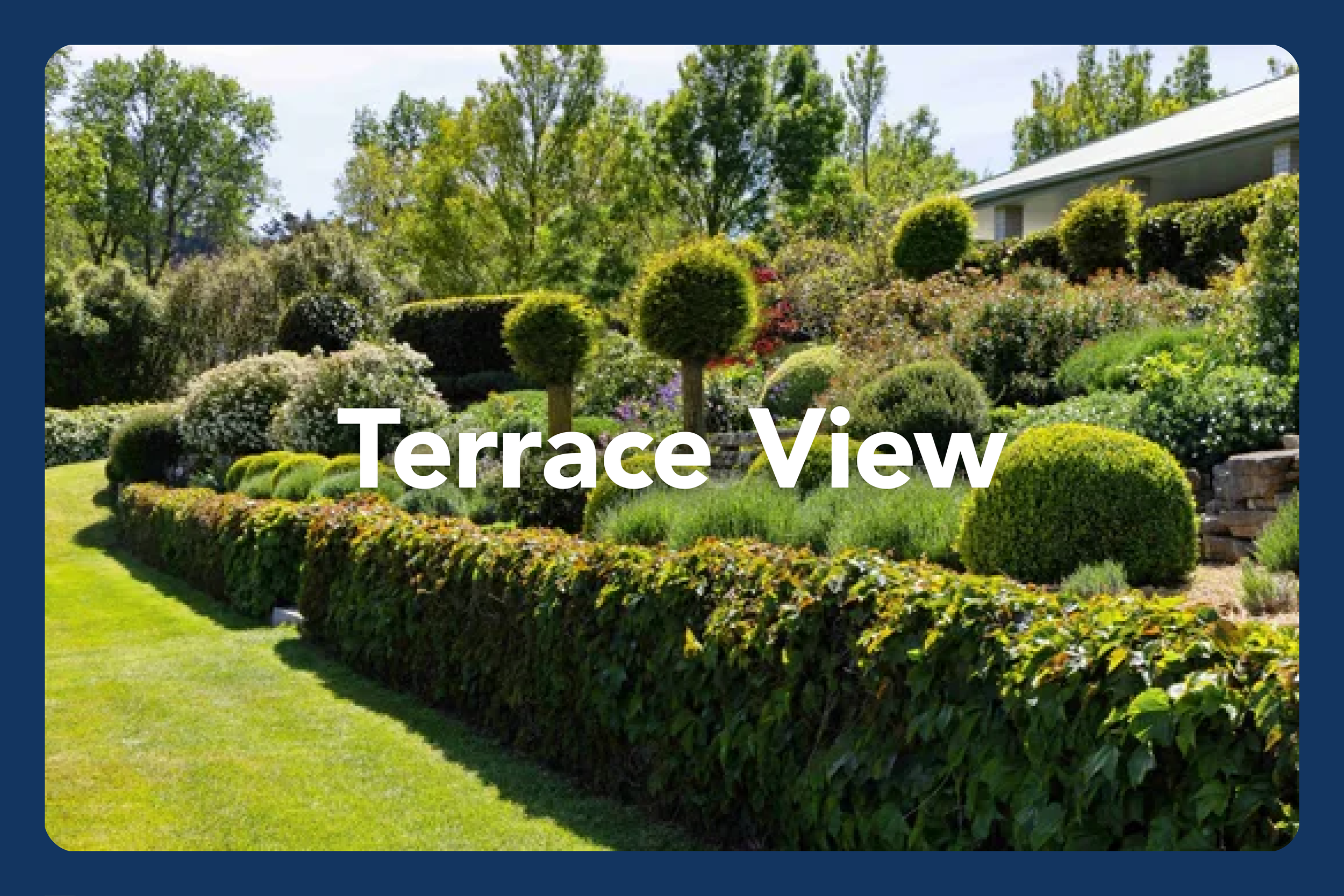 HGF2026 Gardens_Rotherham Waiau5.png