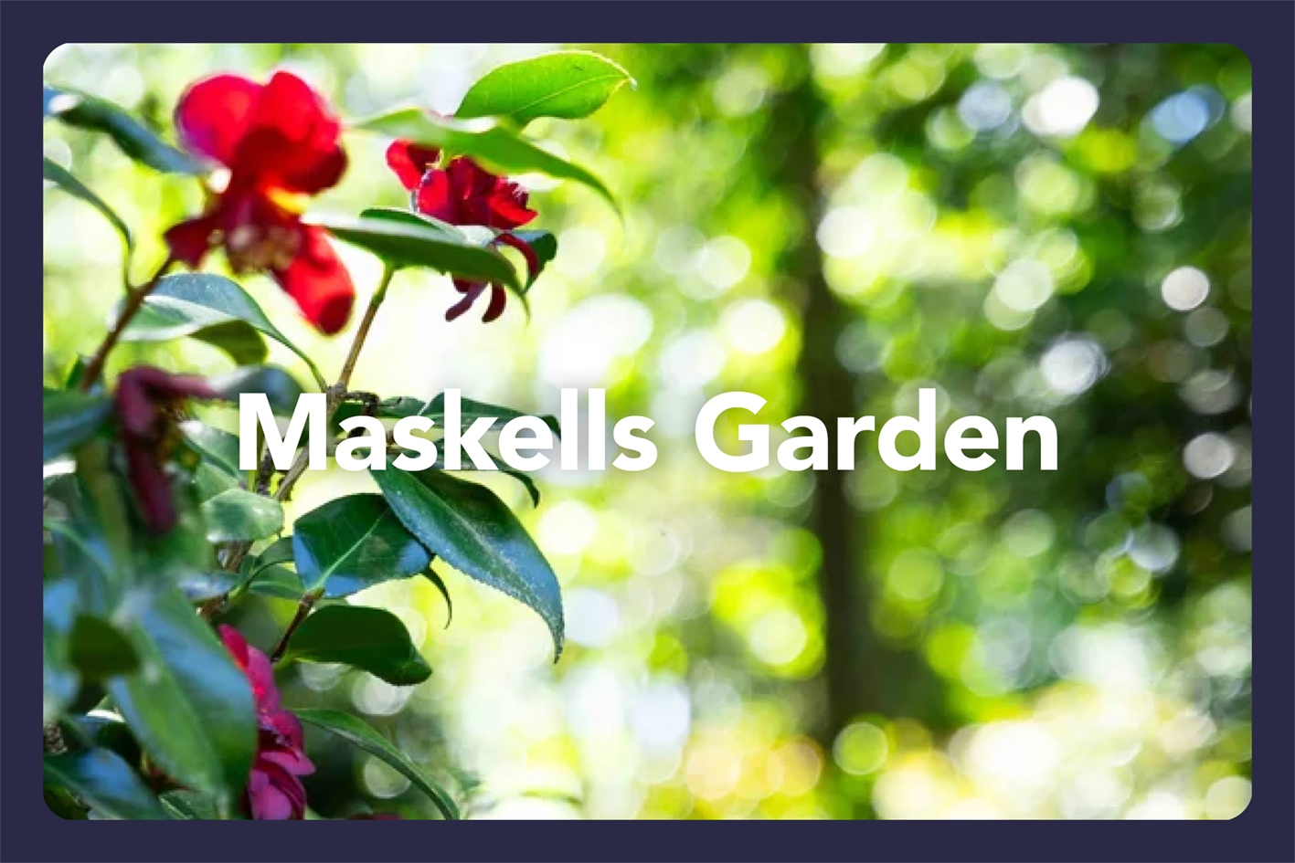 HGF2026 Gardens_Amberley Waipara2.png