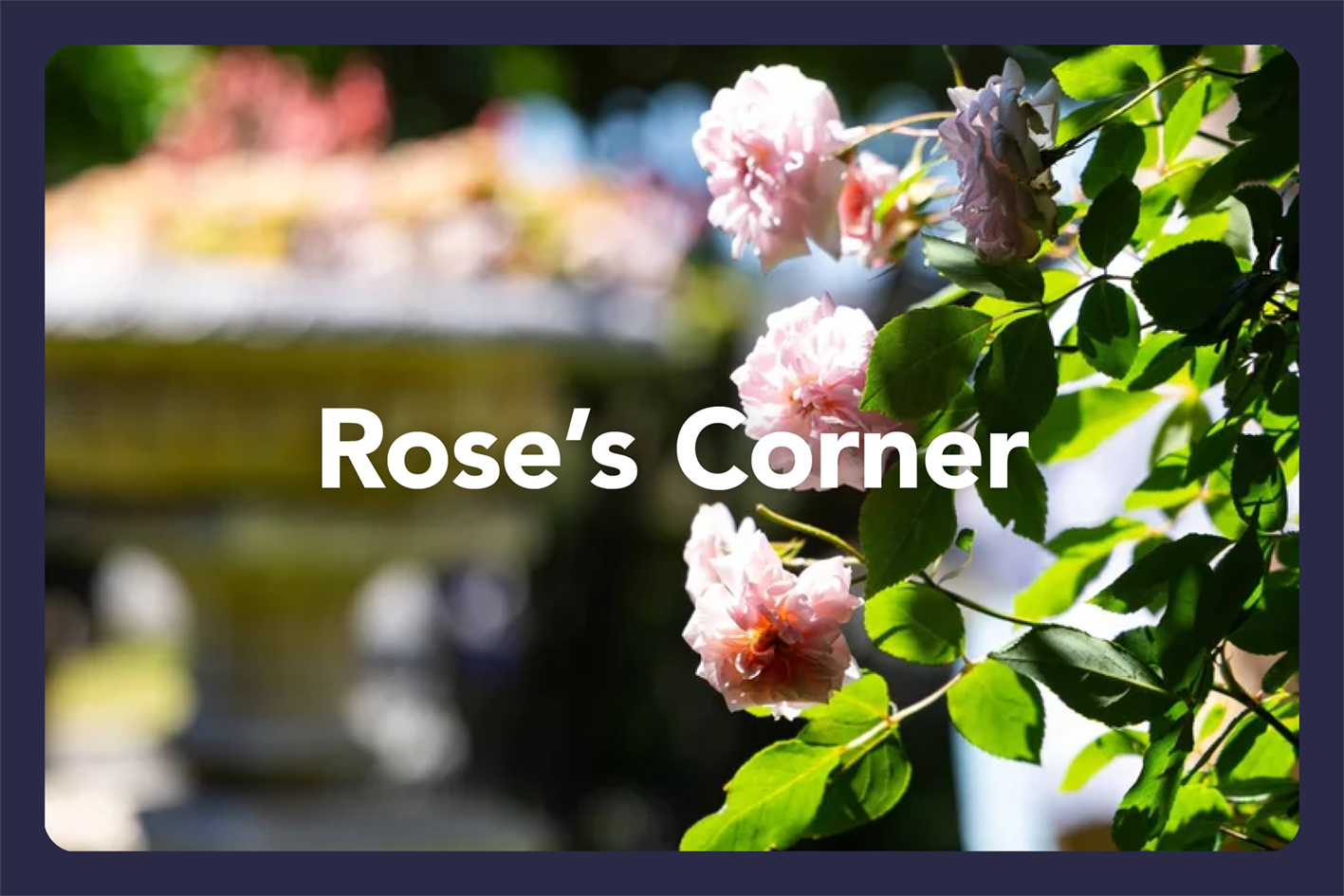 HGF2026 Gardens_Amberley Waipara4.png