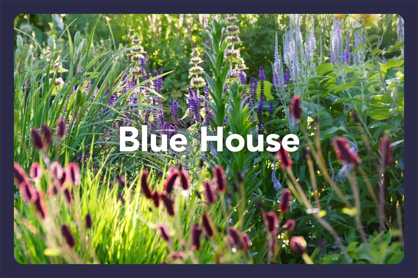 HGF2026 Gardens_Amberley Waipara6.png