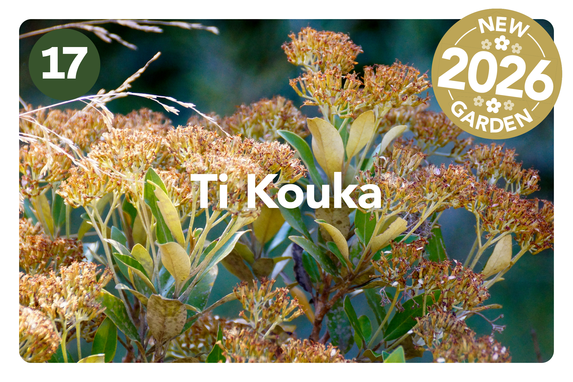 HGF2026 Gardens_Greta Valley3.png