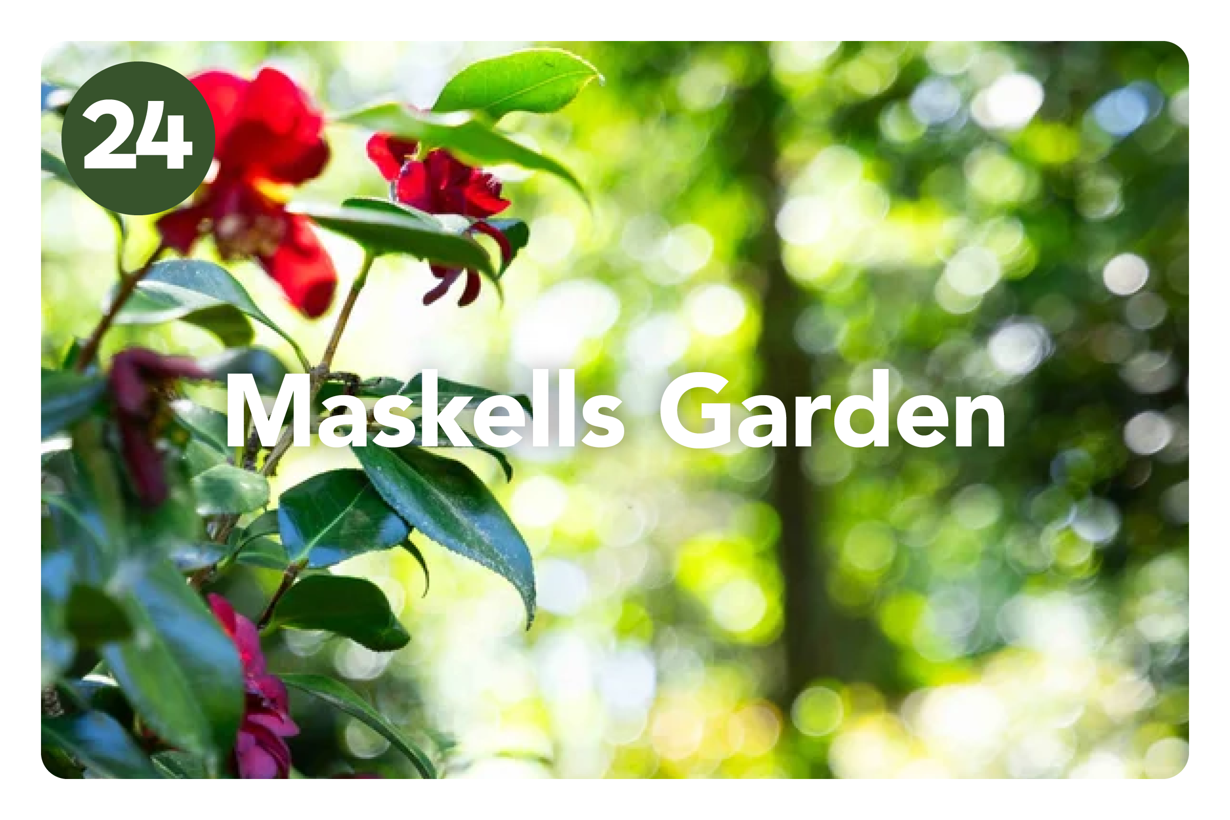 HGF2026 Gardens_Amberley Waipara2.png