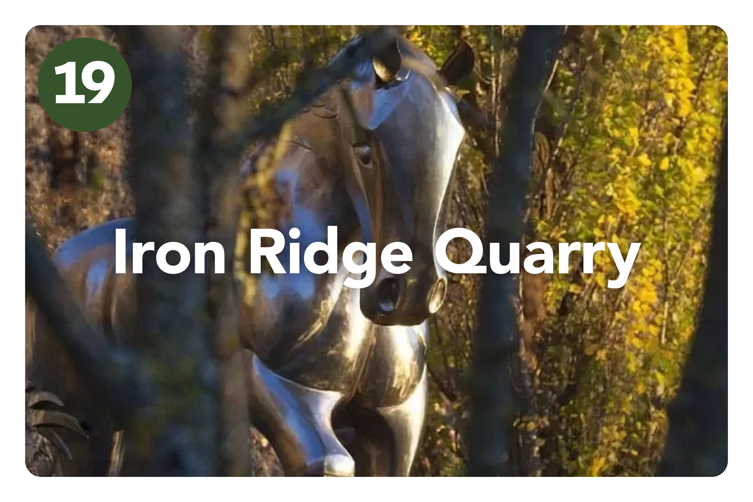 HGF2026 Gardens_Amberley Waipara3.png