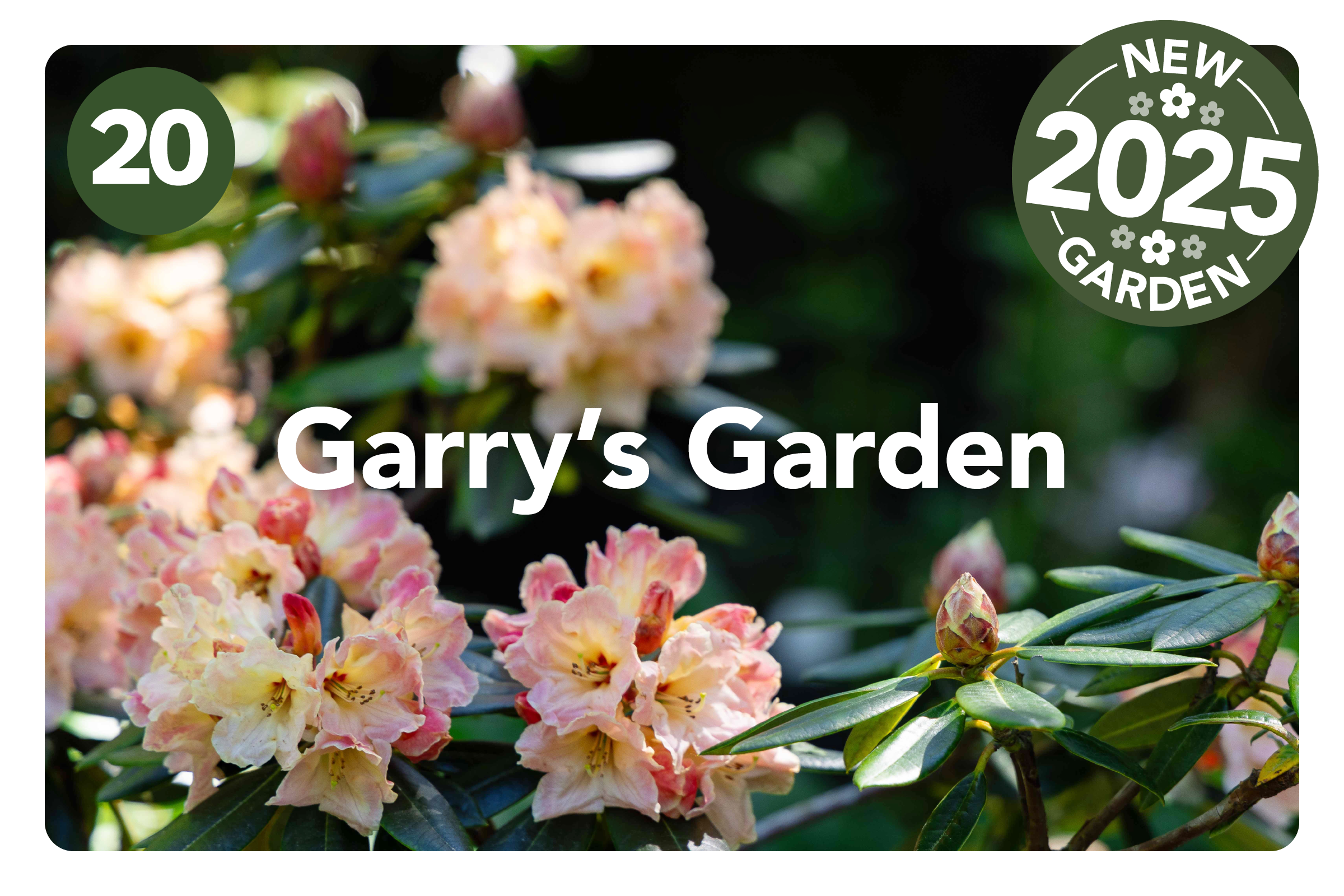 HGF2026 Gardens_Amberley Waipara.png