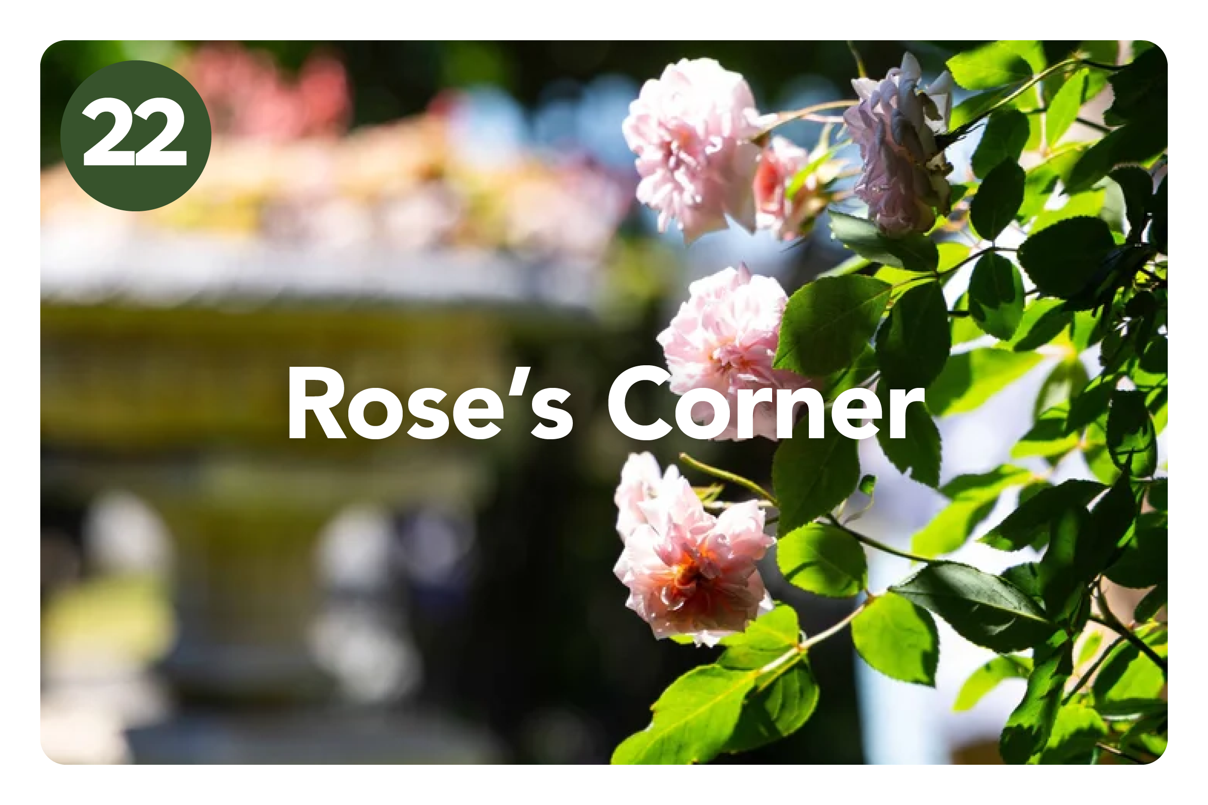 HGF2026 Gardens_Amberley Waipara4.png