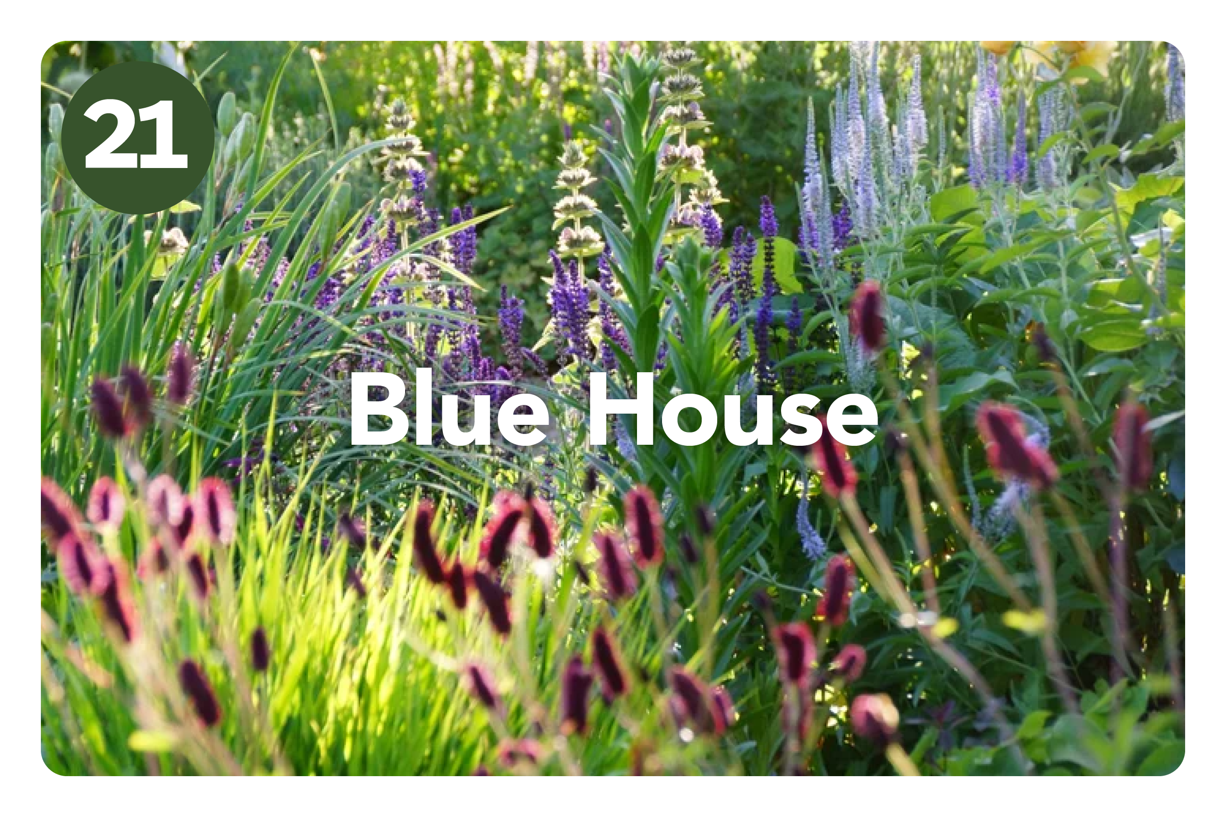 HGF2026 Gardens_Amberley Waipara6.png