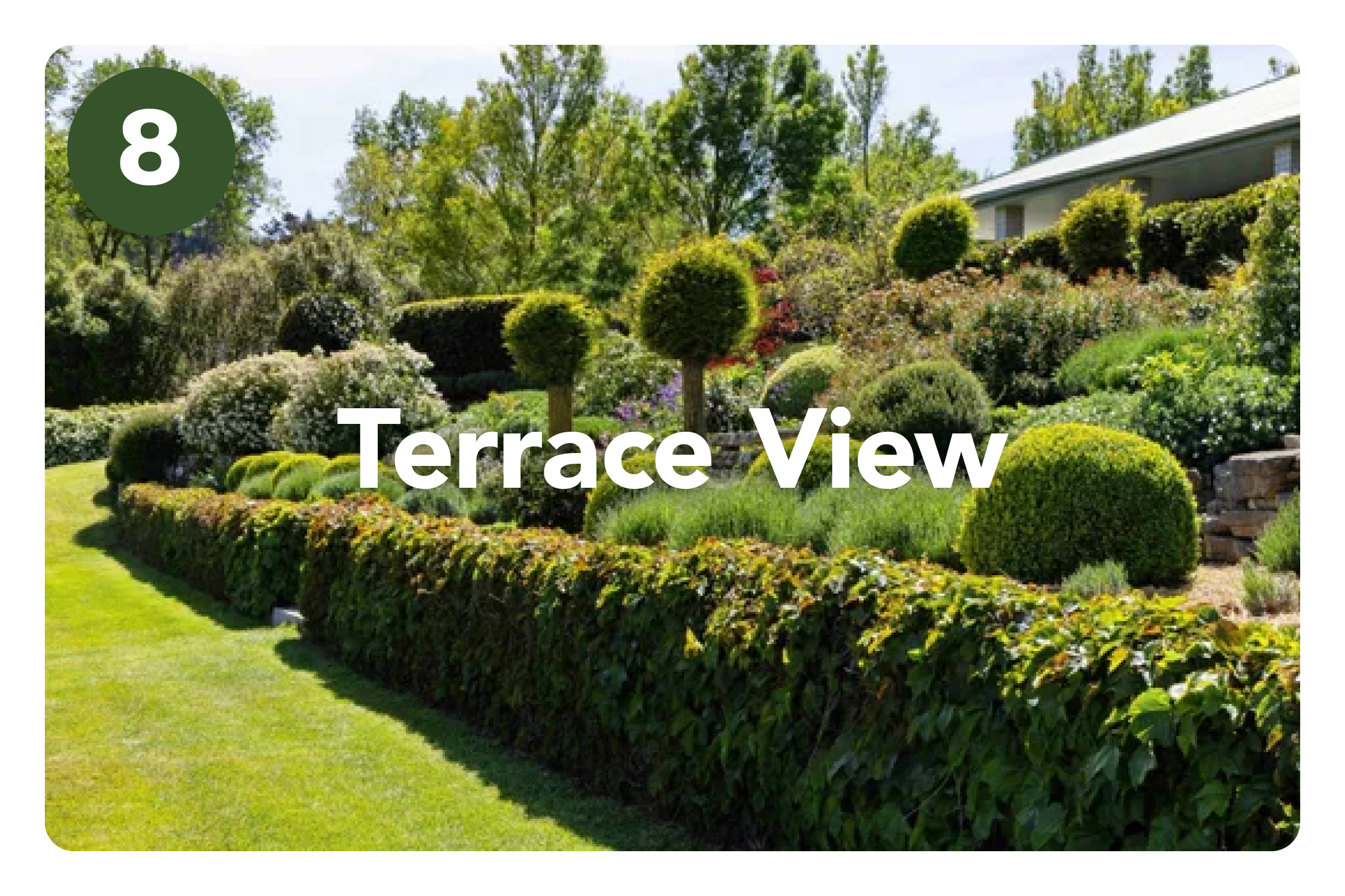 HGF2026 Gardens_Rotherham Waiau5.png