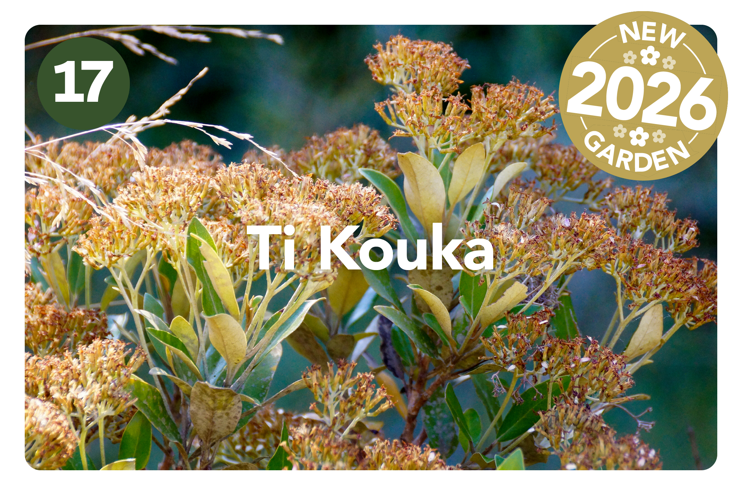 HGF2026 Gardens_Greta Valley3.png