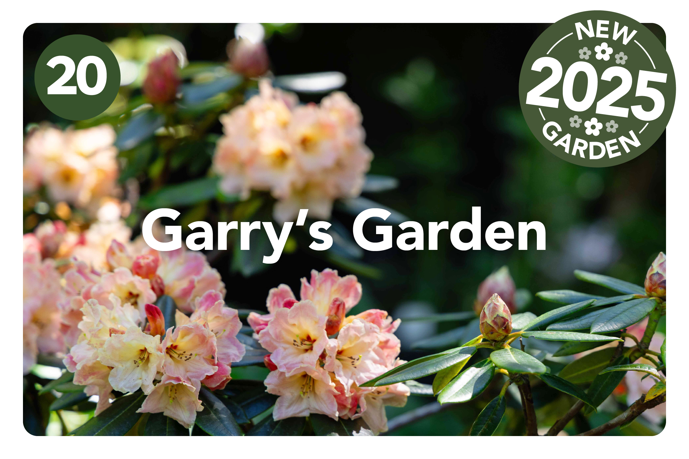 HGF2026 Gardens_Amberley Waipara.png