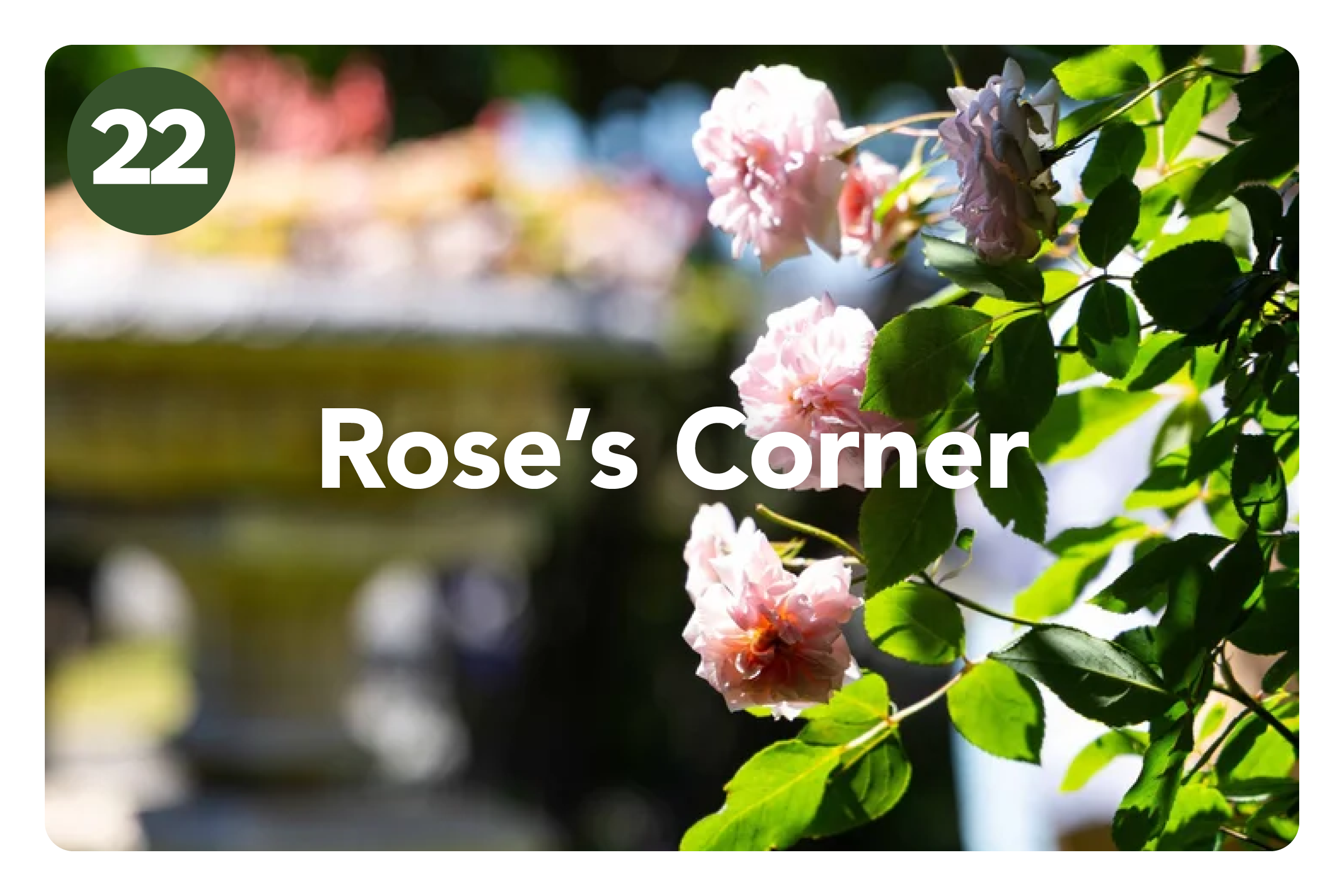 HGF2026 Gardens_Amberley Waipara4.png