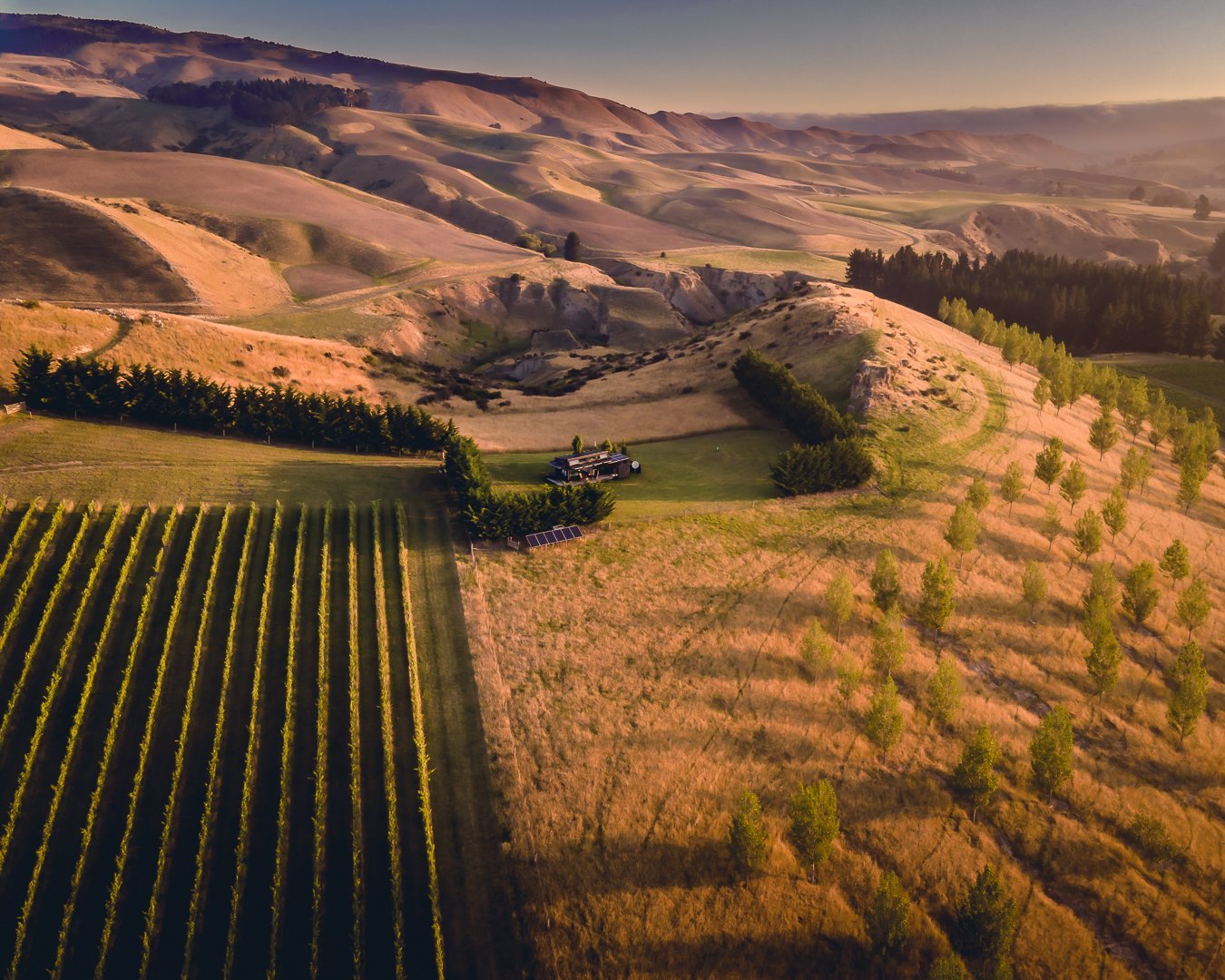 Greystone PurePod - perched high above the vineyard.jpg