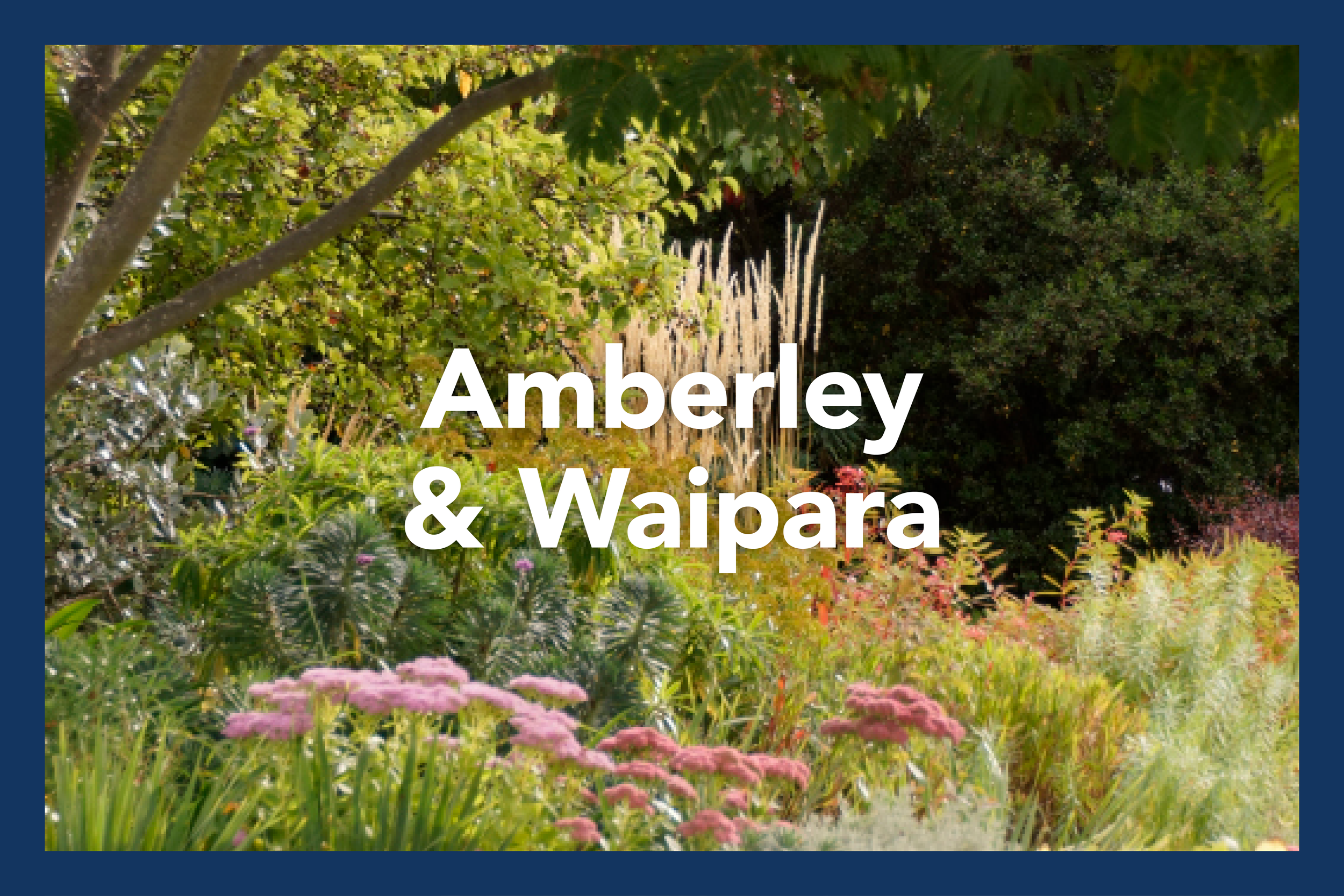 HGF2026 Clusters6.png