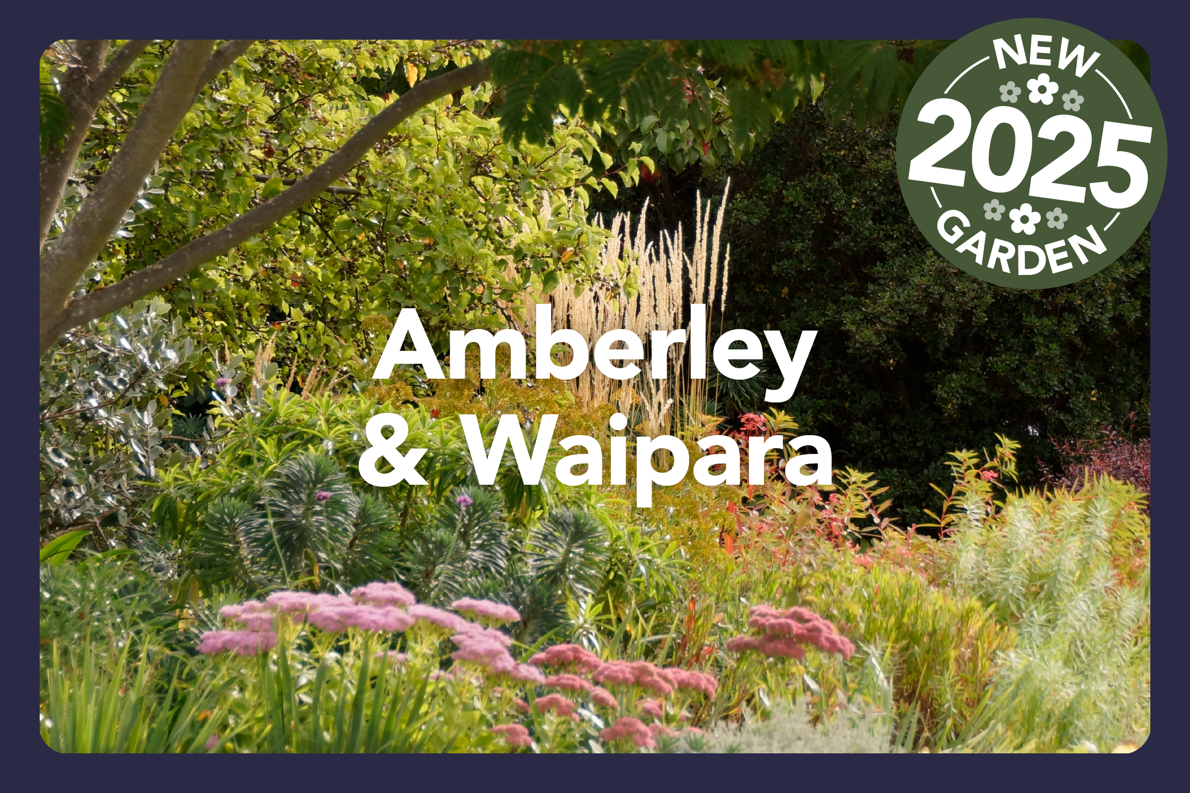 HGF2026 Clusters6.png