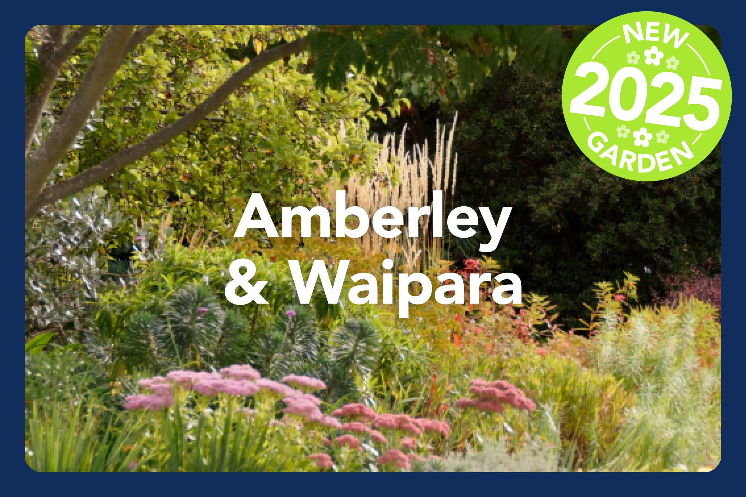 Image of a colorful garden with various plants and flowers, labeled as Amberley & Waipara, with a green badge indicating a new 2025 garden.
