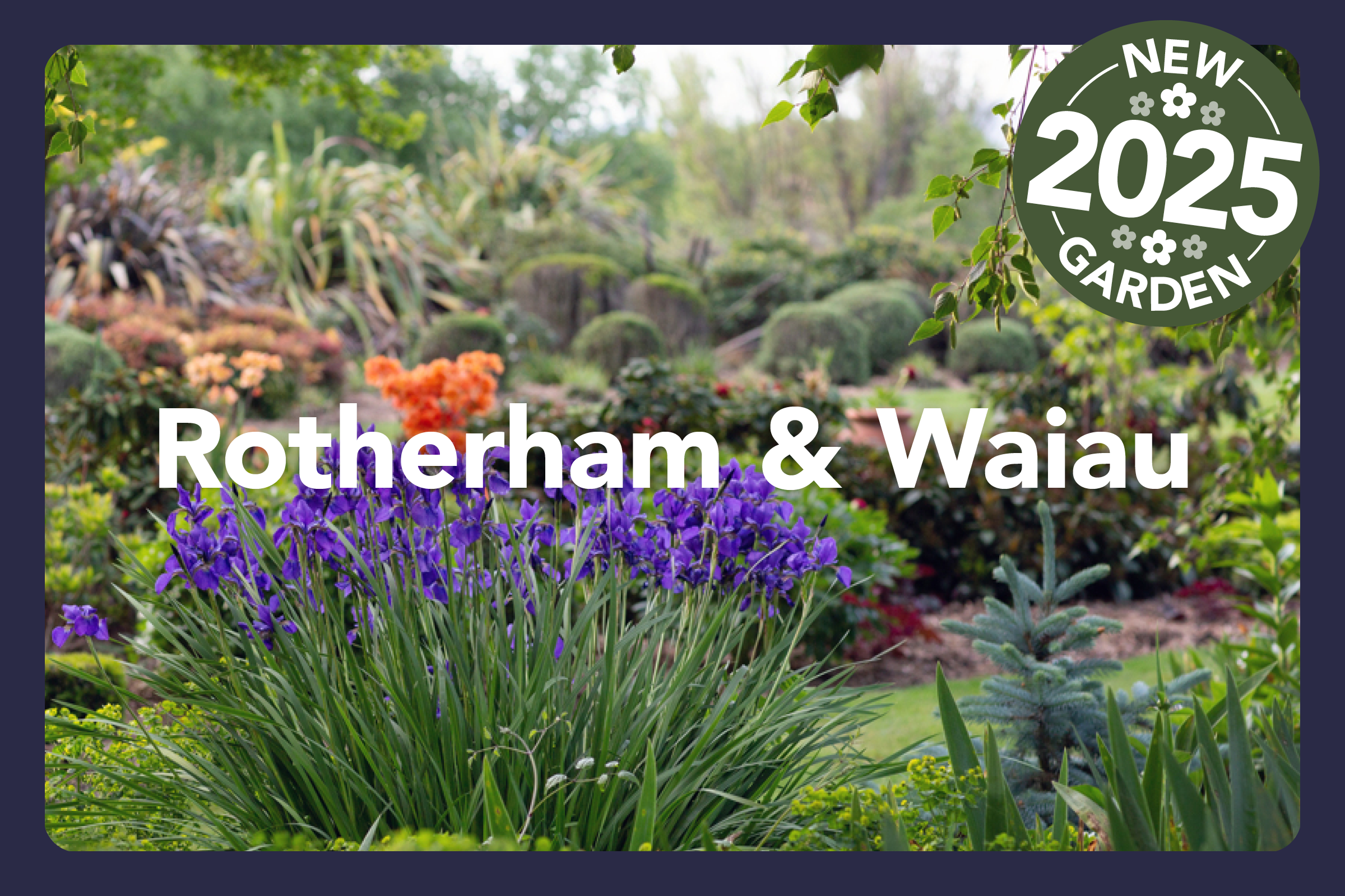 HGF2026 Clusters2.png